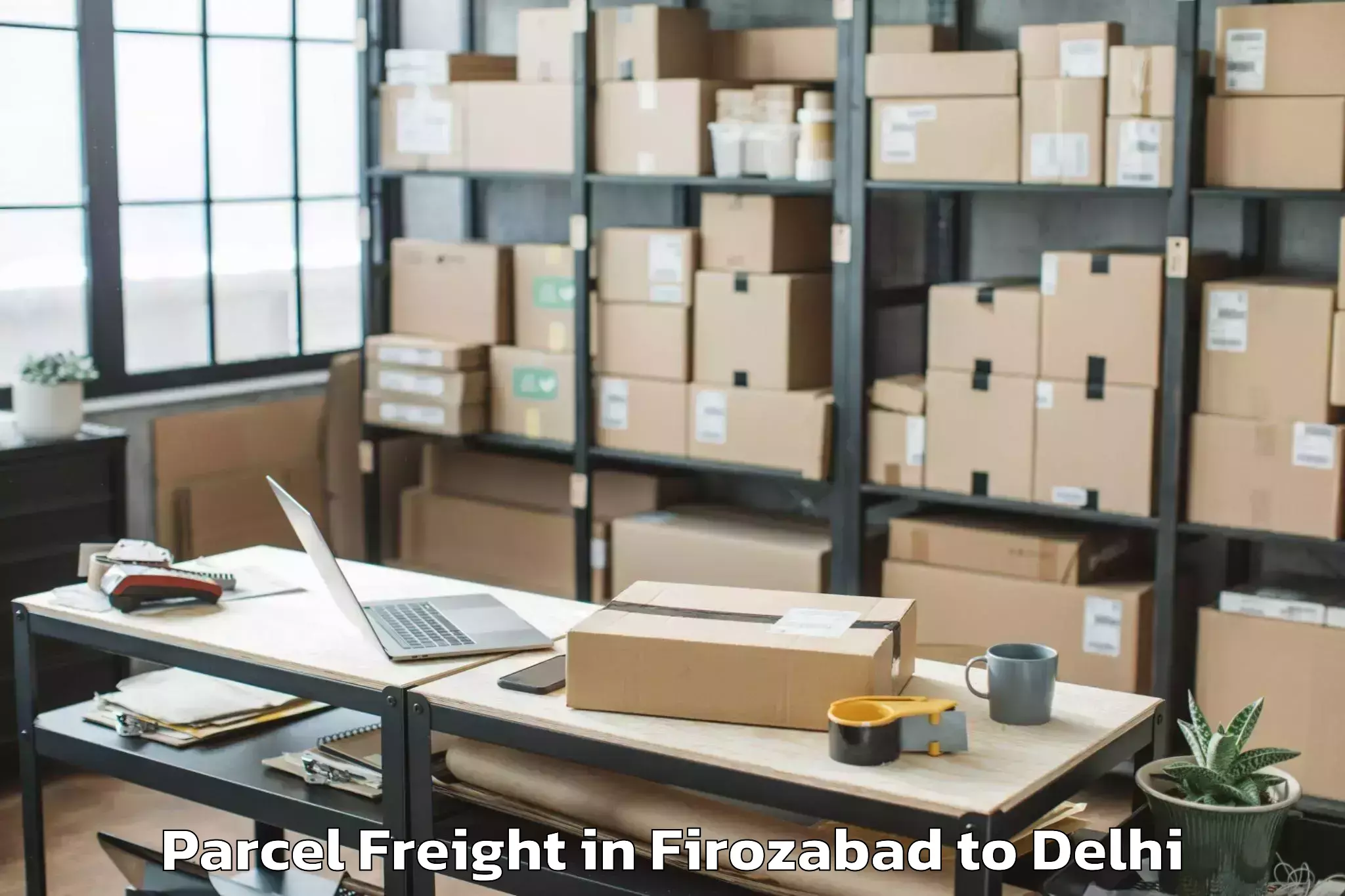 Expert Firozabad to University Of Delhi Parcel Freight